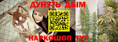 хмурый Новозыбков